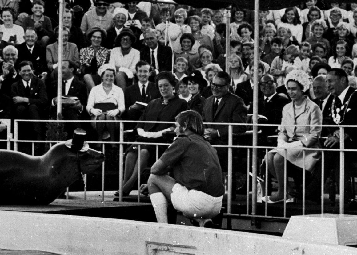 Napier’s world-renowned Marineland opened in January 1965. Within five years one million people had visited, including national sports
teams, politicians, celebrities and members of the royal family. The site exhibited dolphins, California sea lions, leopard seals and New
Zealand fur seals