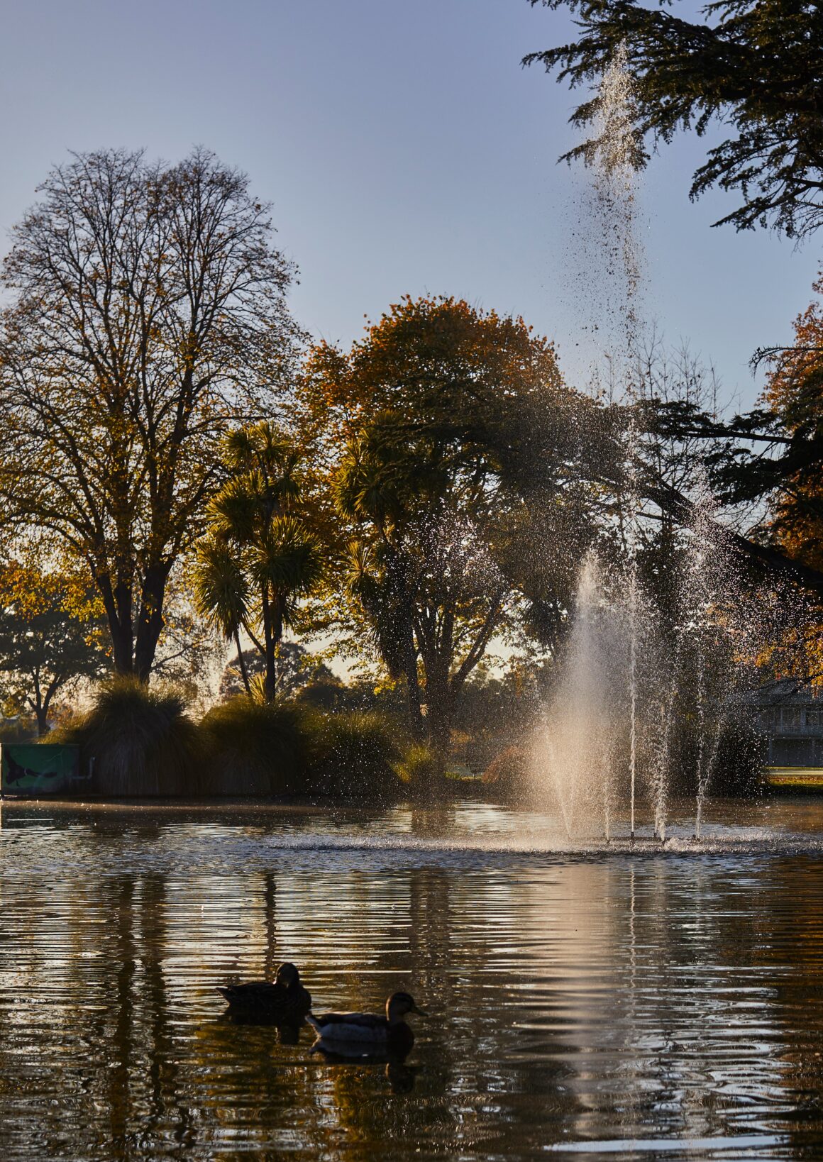 cornwall park