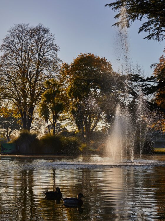 cornwall park