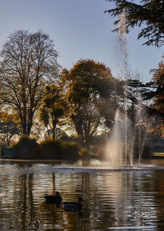 cornwall park