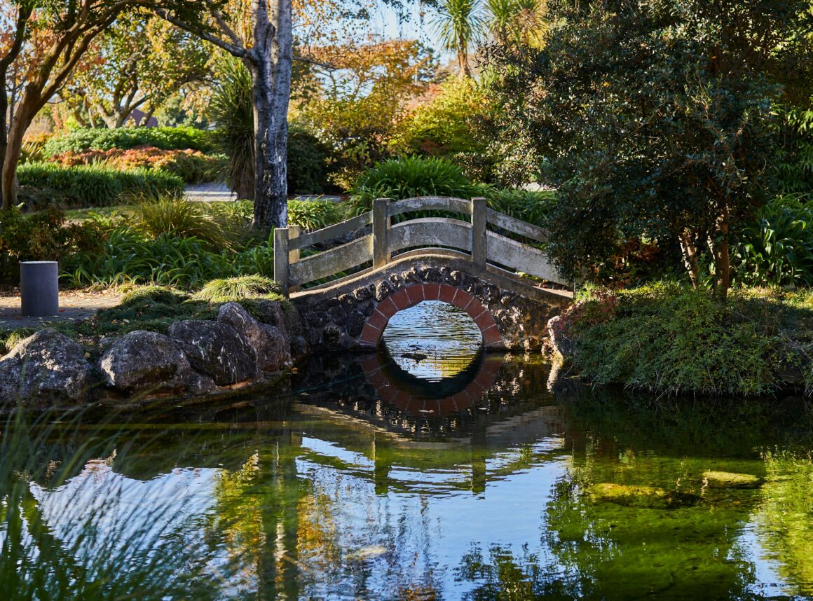 Views of the Chinese Garden