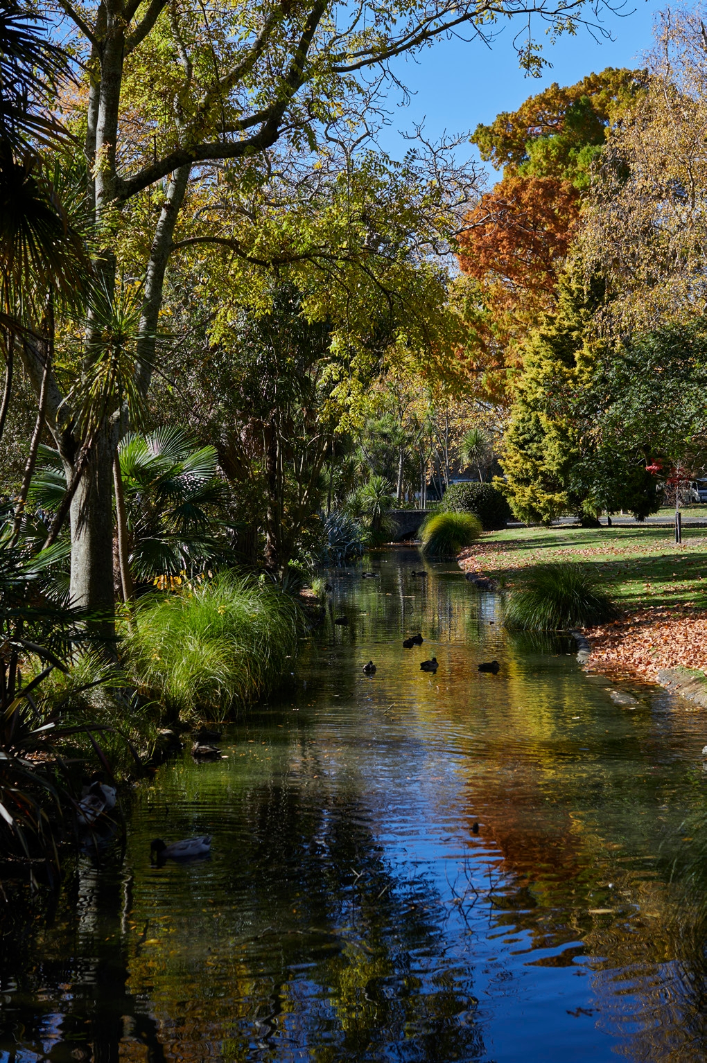 What remains of the Makaramu
Stream meanders through the park