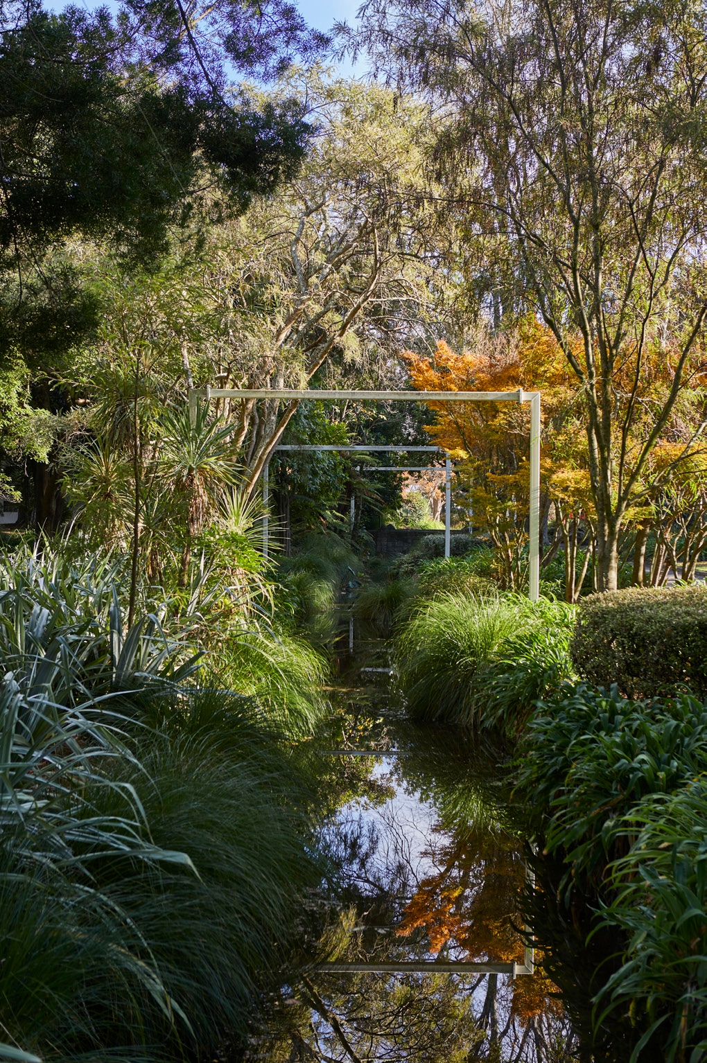 Framing the native garden