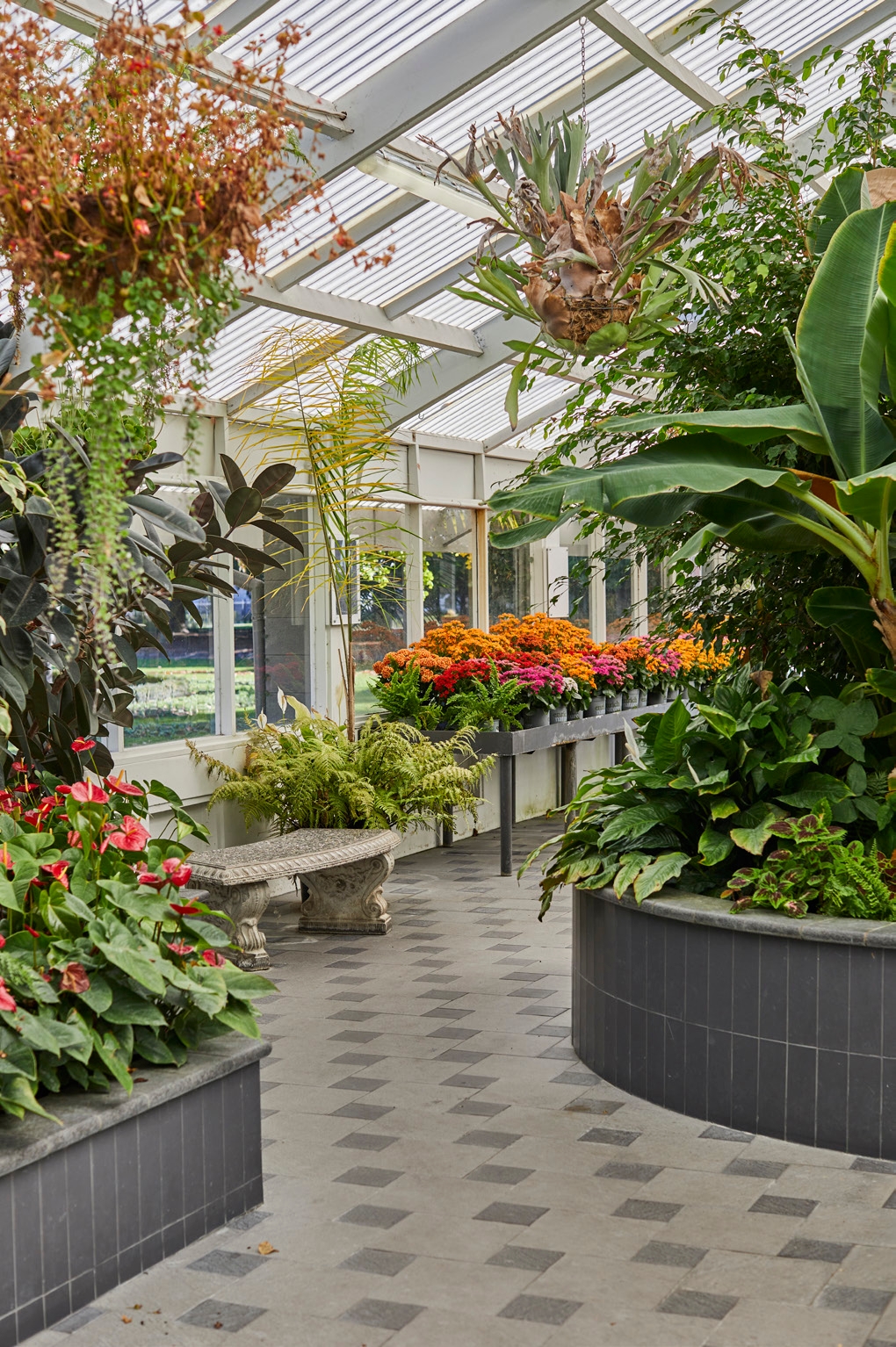 Inside the Display House