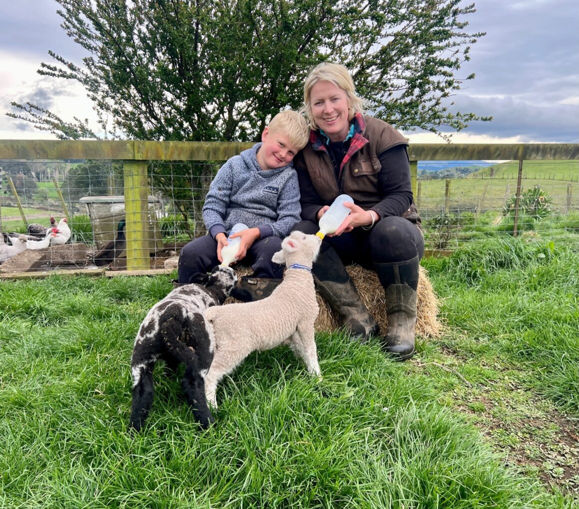 Sally with Ted, hand feeding
this season’s pet lambs